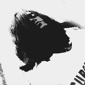 I Need You Now Somehow