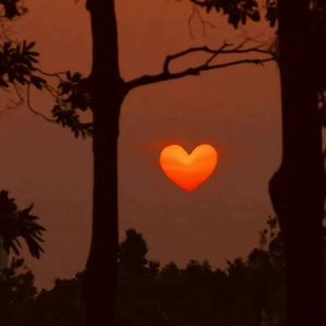 给我一个理由忘记