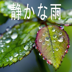 静かな雨、パート17
