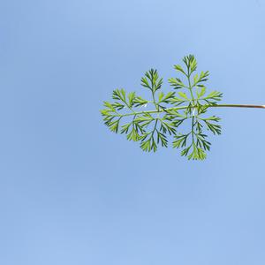 不爱又何必纠缠