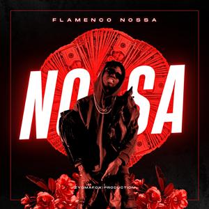 Flamenco nossa