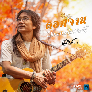 ดอกจานไม่เคยบานในเมืองนี้