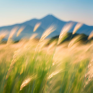 アンビエント528HZの勉強に集中できる音楽タイマー