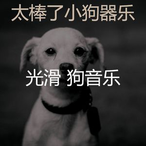 诗意的可爱的狗节奏