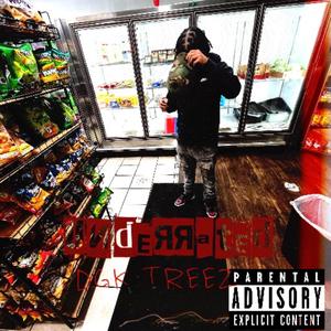 The Realest(DGKTreez) (feat. DonicB)