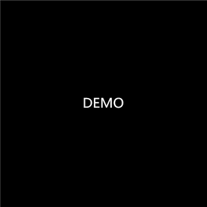 我用了两年半（demo）