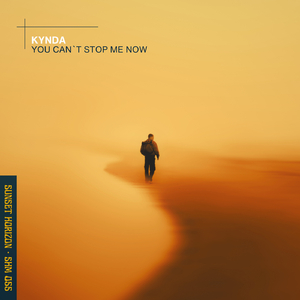 You Can`t Stop Me Now (Extended Mix)