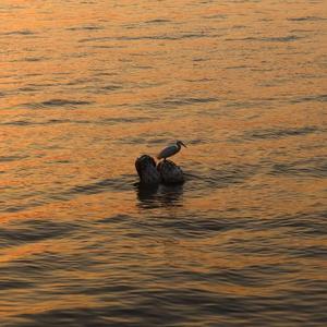 三月，雨，バス停