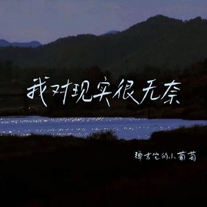 没那么多以后（无和声伴奏）