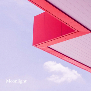 Pink Velvet Rhapsody