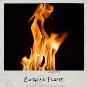 Filthy Dirty Sexy Money