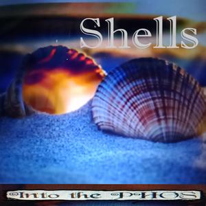 Shells