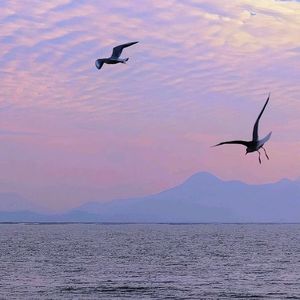 梁山伯与茱丽叶(DJ阿樂版)