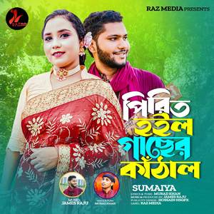 Piriti Hoilo Gacher Kathal