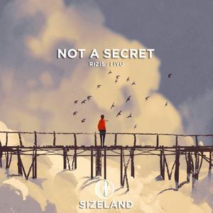 Not a Secret