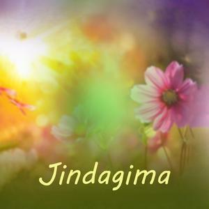 Jindagima