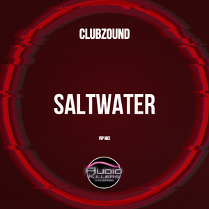 Saltwater (Vip Mix)