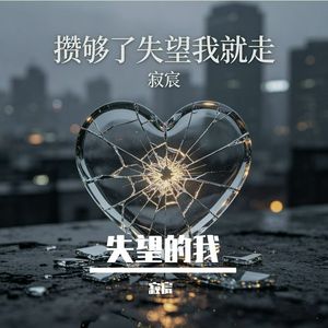 攒够了失望我就走