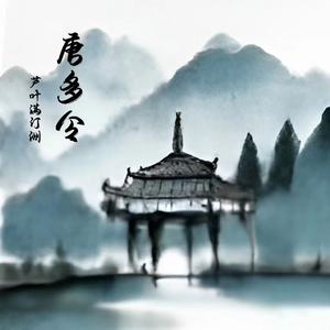 唐多令•芦叶满汀洲
