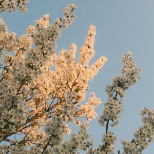 周杰伦“爱琴海”Type Pop rap beat