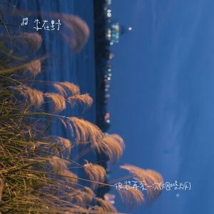 假装再爱你一次