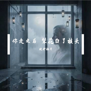 你走之后 梨花白了枝头