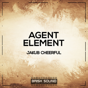 Agent (Original Mix)