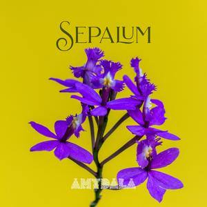 Sepalum