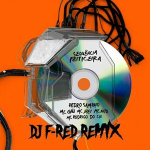 Pedro do Espirito Santo Sampaio - SEQUÊNCIA FEITICEIRA (DJ F-RED)