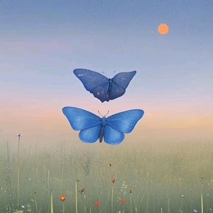 晓色蓝蝶