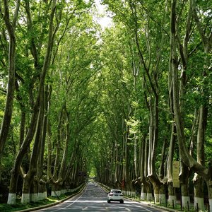 重逢与别离（prod by Ay beat）