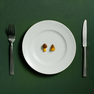 きのこたけのこ論争