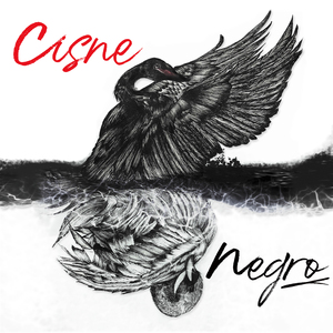 Cisne Negro