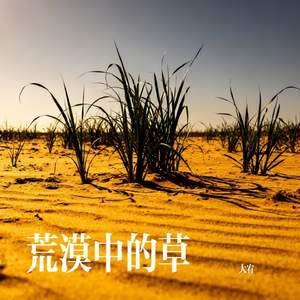荒漠中的草