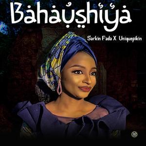 Bahaushiya (Matan Arewa)