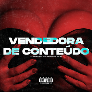 Vendedora de Conteúdo