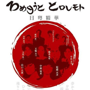 容易受伤的女人