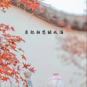 若把相思酿成酒