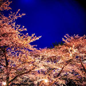 En Esa Noche Fatídica (On That Fateful Night)