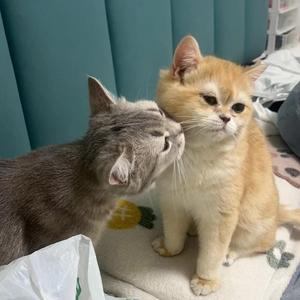 Juice WRLD - Come & Go （DJ Aimee Remix）