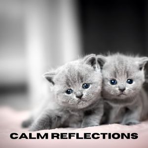 Peaceful Daydreams (Loopable, No Fade)