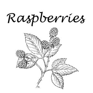 Raspberries
