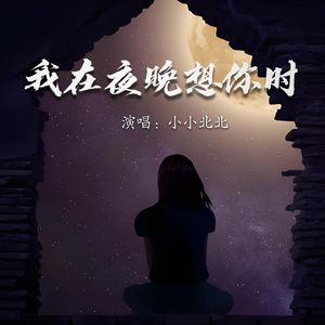 我在夜晚想你时