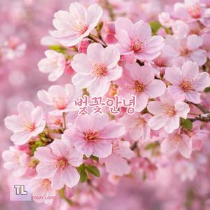 벚꽃안녕