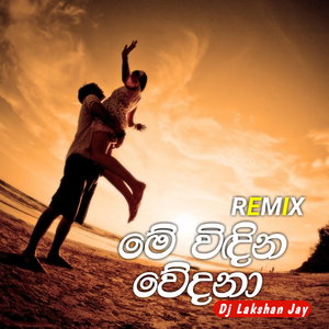 මේ විඳින වේදනා (Remix)