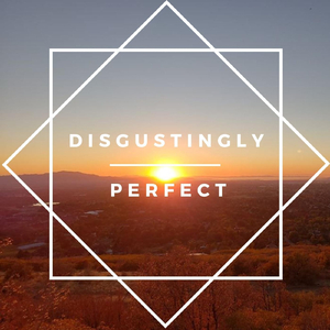 Disgustingly Perfect