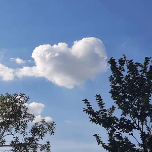 我想我不够好（Cover单色凌）