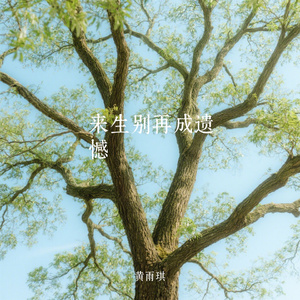 来生别再成遗憾