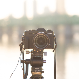 좋아하지 않아도 돼요