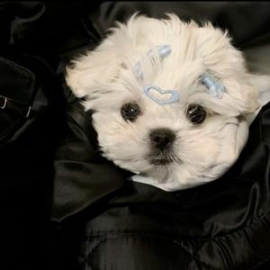 越来越不懂dj（0.8）.wav